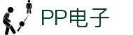 PP电子·(中国)官方网站